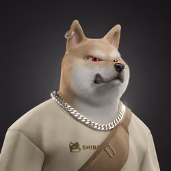 Shiba #7262