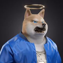 Shiba #5547