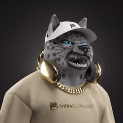 Shiba #2697
