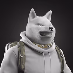 Shiba #236