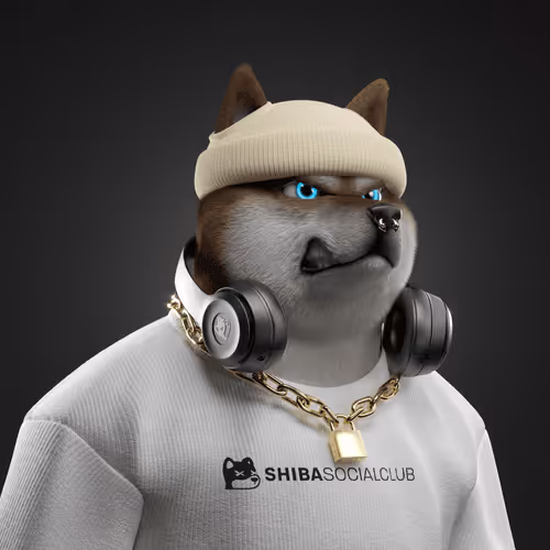 Shiba #537