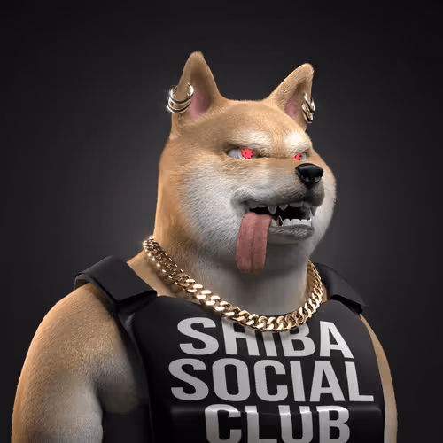 Shiba #2