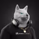 2491
