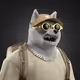 6060