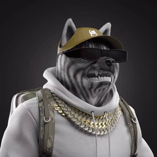 Shiba #867