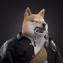 Shiba #1911