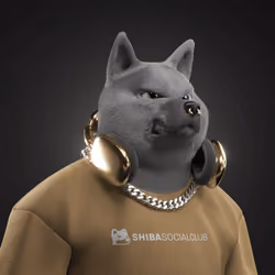 Shiba #90