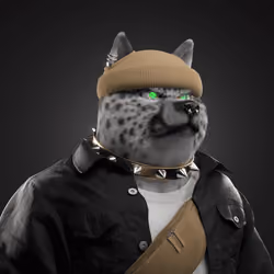 Shiba #618