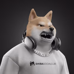 Shiba #7100