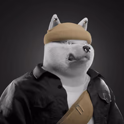 Shiba #4906