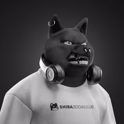 Shiba #5511