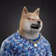 7037