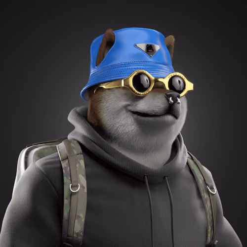 Shiba #5947