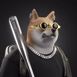 Shiba #1322