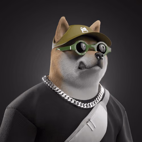 Shiba #6425