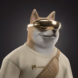 Shiba #7384