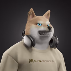 Shiba #5117