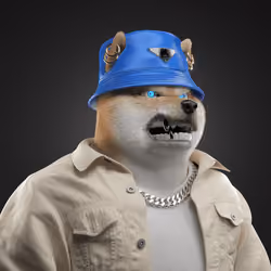 Shiba #2579