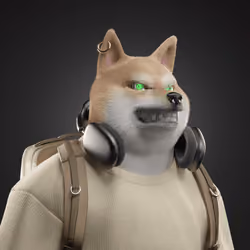 Shiba #2210