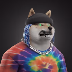 Shiba #6733
