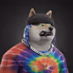 6733