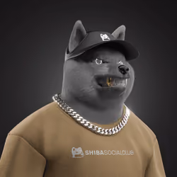 Shiba #4329