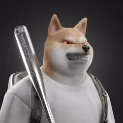 Shiba #5397