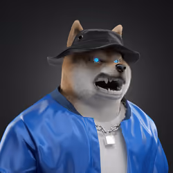 Shiba #3017