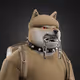 2921
