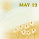 May 19 カモミール