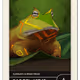 76