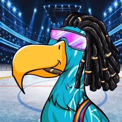 24