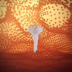 VIA LV Trainer Key