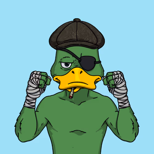 Duck Fight Club