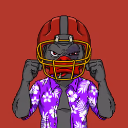 Fighter #14