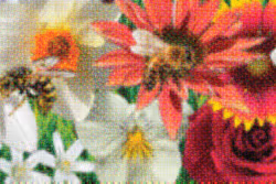 Flower Banners #98