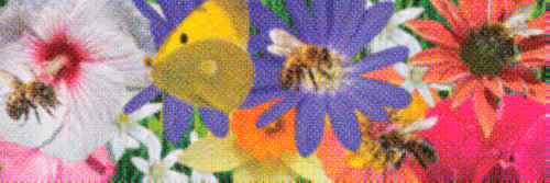 Flower Banners