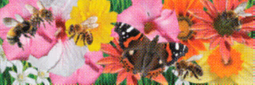 Flower Banners