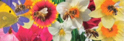Flower Banners