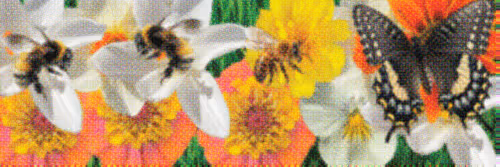 Flower Banners
