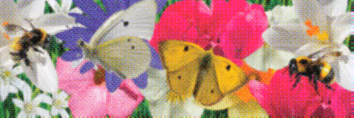 Flower Banners