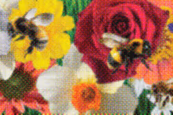 Flower Banners #5