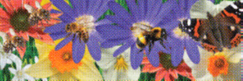 Flower Banners