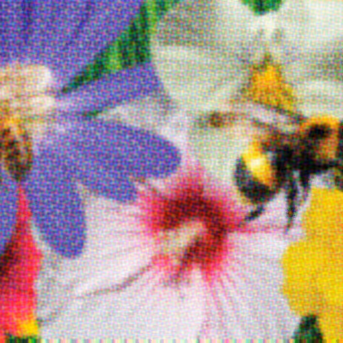 Flower Banners