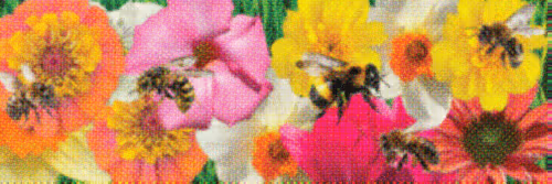 Flower Banners