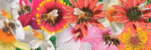 Flower Banners