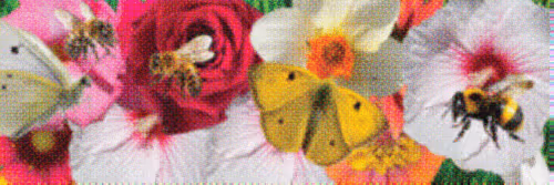 Flower Banners