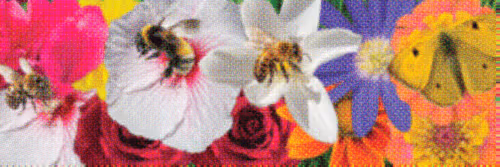Flower Banners
