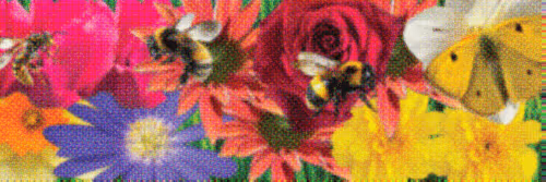 Flower Banners