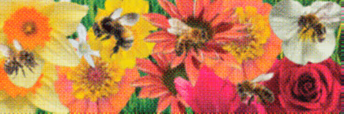 Flower Banners #30